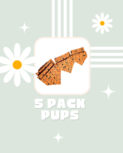 5 Pack Pups