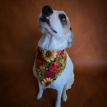 Glittery Autumn Sunflowers Scrunchie Dog Bandana